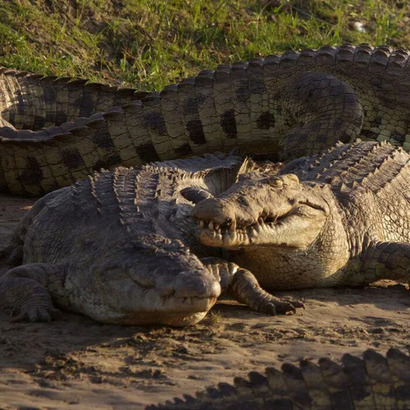 Katavi National Park