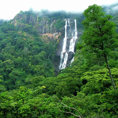 Udzungwa Mountains National Park