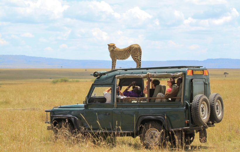 5-Day Affordable Northern Tanzania Safari – Budget Adventure to Serengeti, Ngorongoro & Arusha