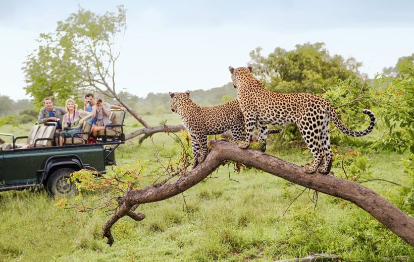 Luxurious Landscapes: 6 Day Best of Arusha Northern Circuit Safari