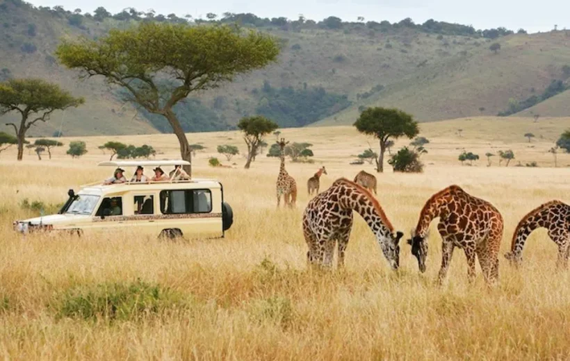5-Day High-End Tanzania Safari – Explore Ngorongoro & Serengeti in Style