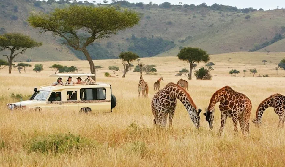 Tourists on a 5 day high-end Tanzania safari