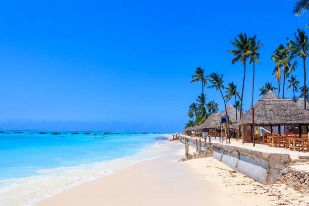 10-Day Mid-Range Wondrous Wildebeest Migration Safari & Zanzibar Escape