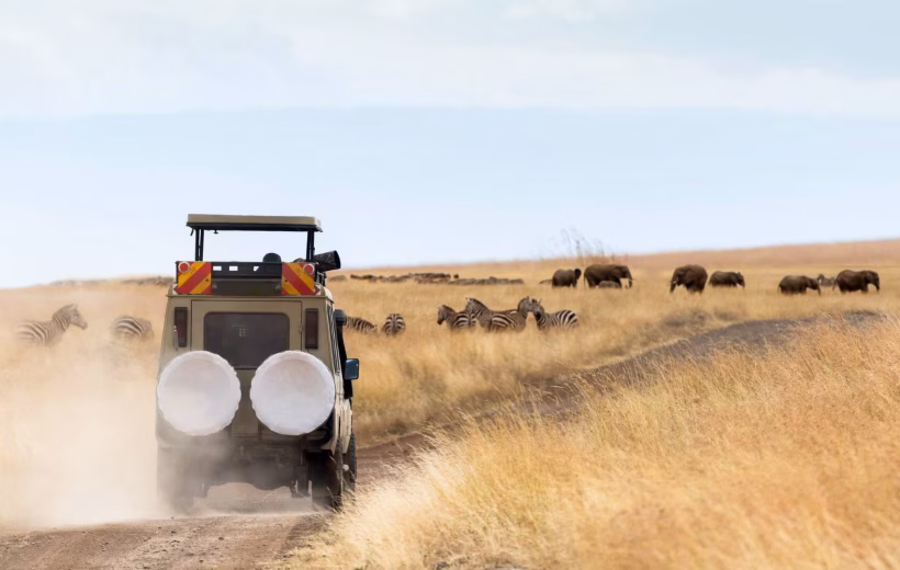 Amazing 8-Day Tanzania Safari and Beach Holiday