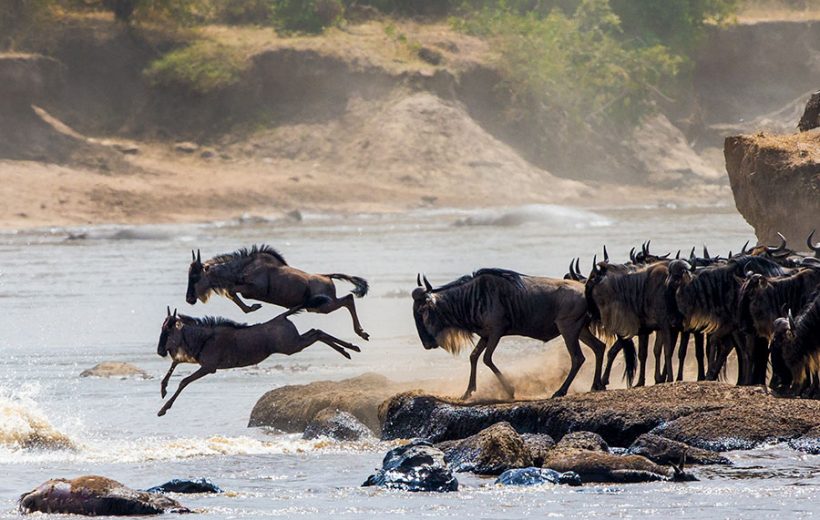 8-Day Tanzania Great Migration Safari – Mid-Range Adventure
