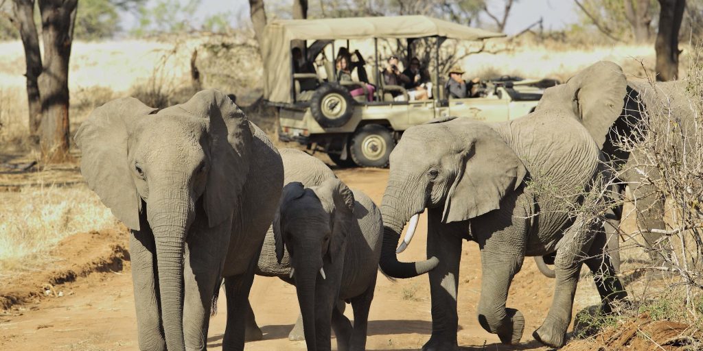 Southern Tanzania safaris