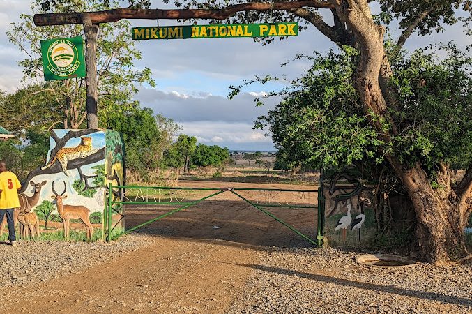 2 nights Mikumi safari