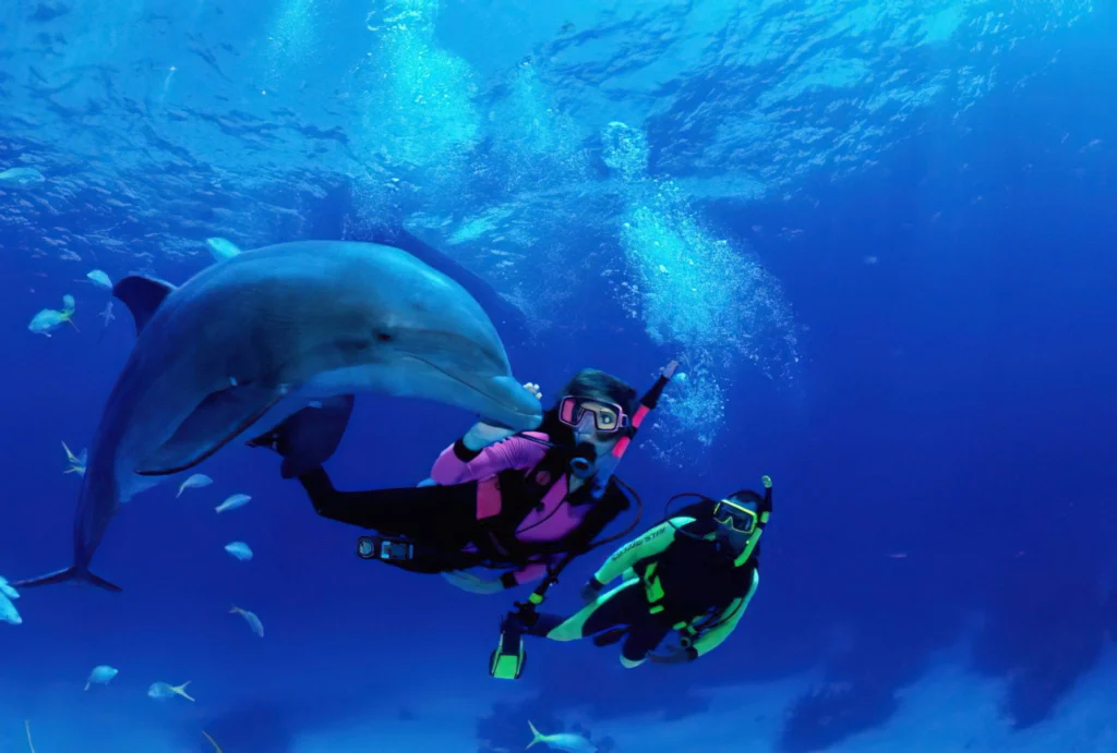 Best time to visit Zanzibar after a safari - swim with dolphins