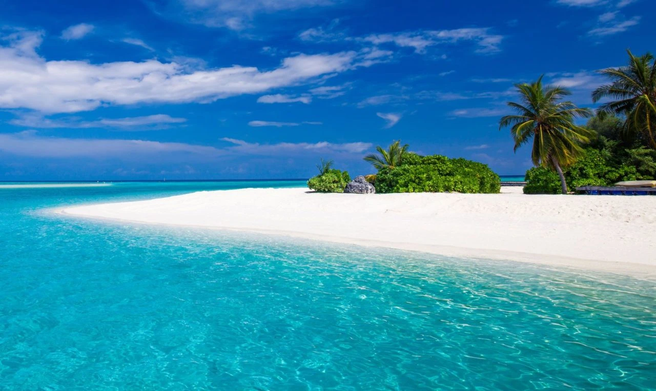 Zanzibar beautiful coast