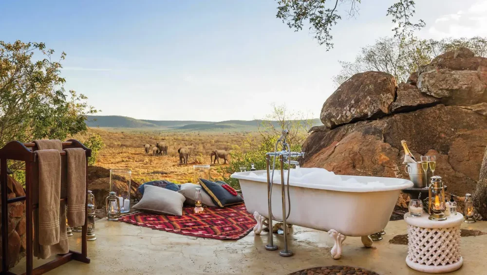 honeymoon safari outdoor setup2