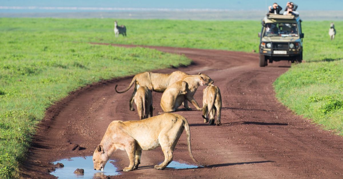 Luxury safari accommodation in Tanzania