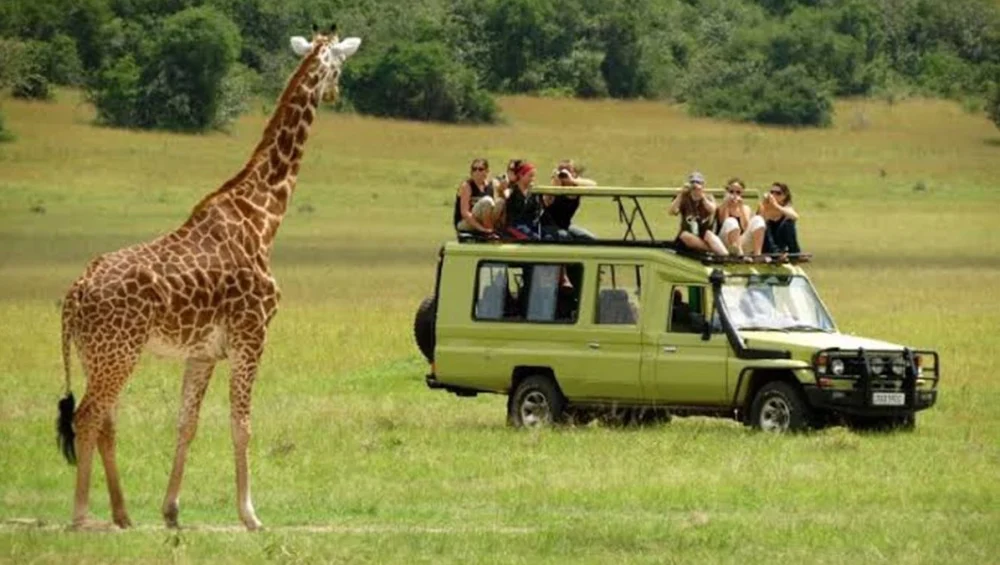 best time to visit tanzania Tanzania green season safari