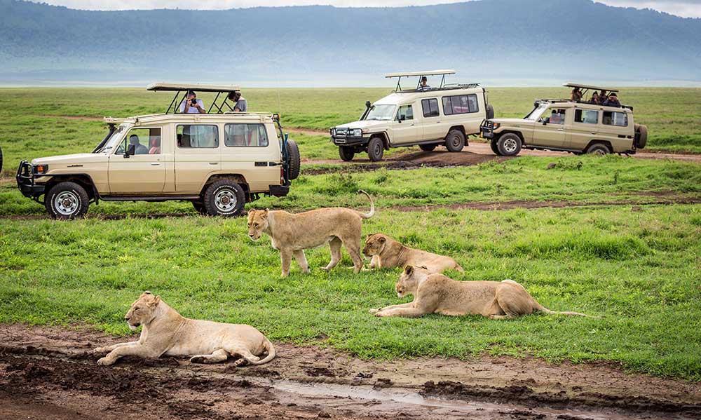 best time to visit Tanzania