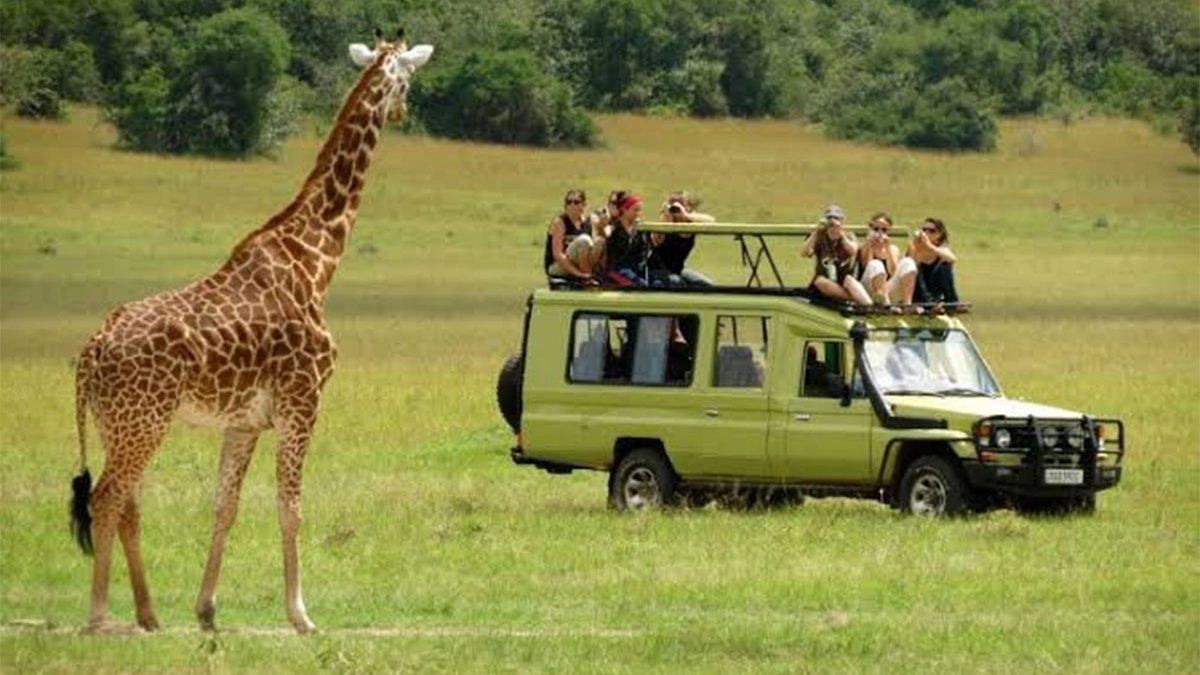 best time to visit Tanzania