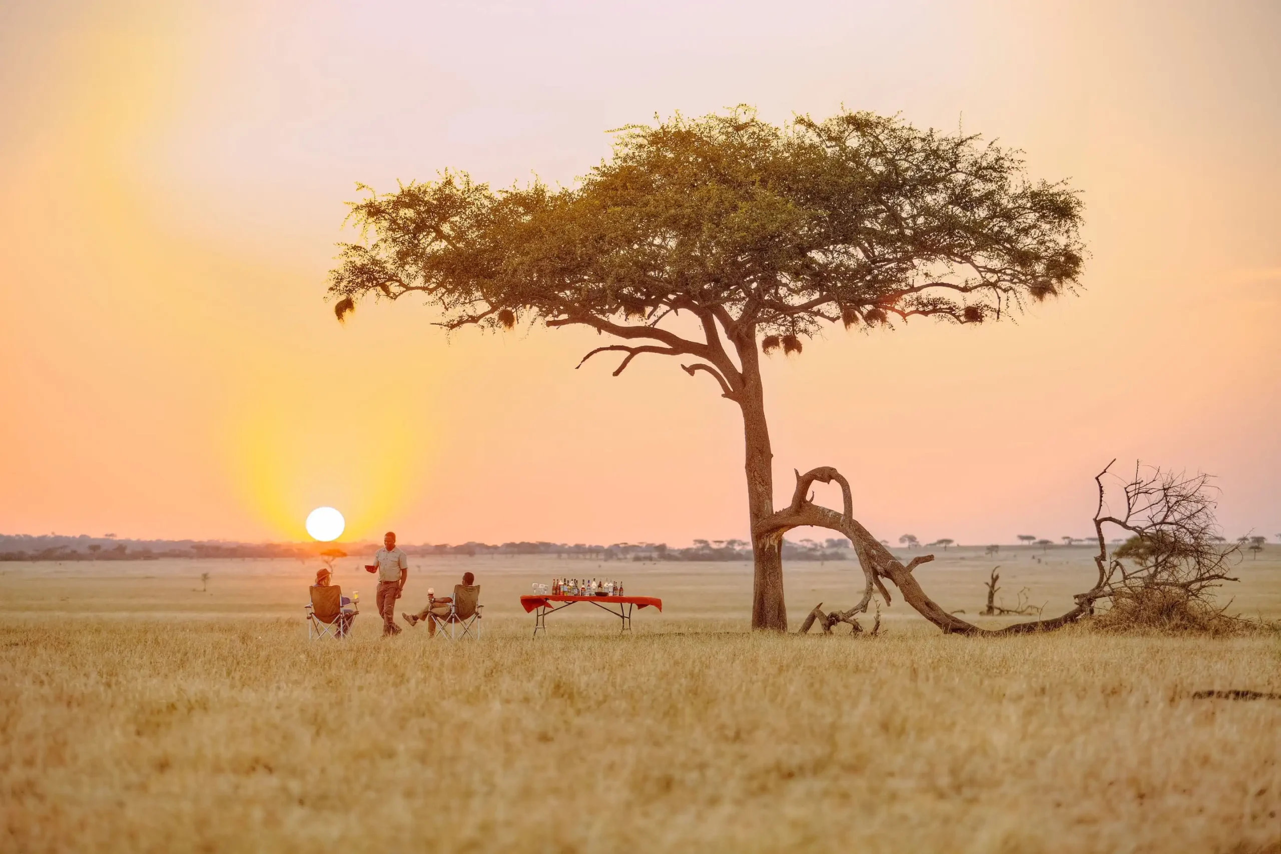 Northern vs Southern tanzania safaris