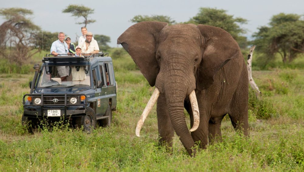 best time to book your safari in Tanzania