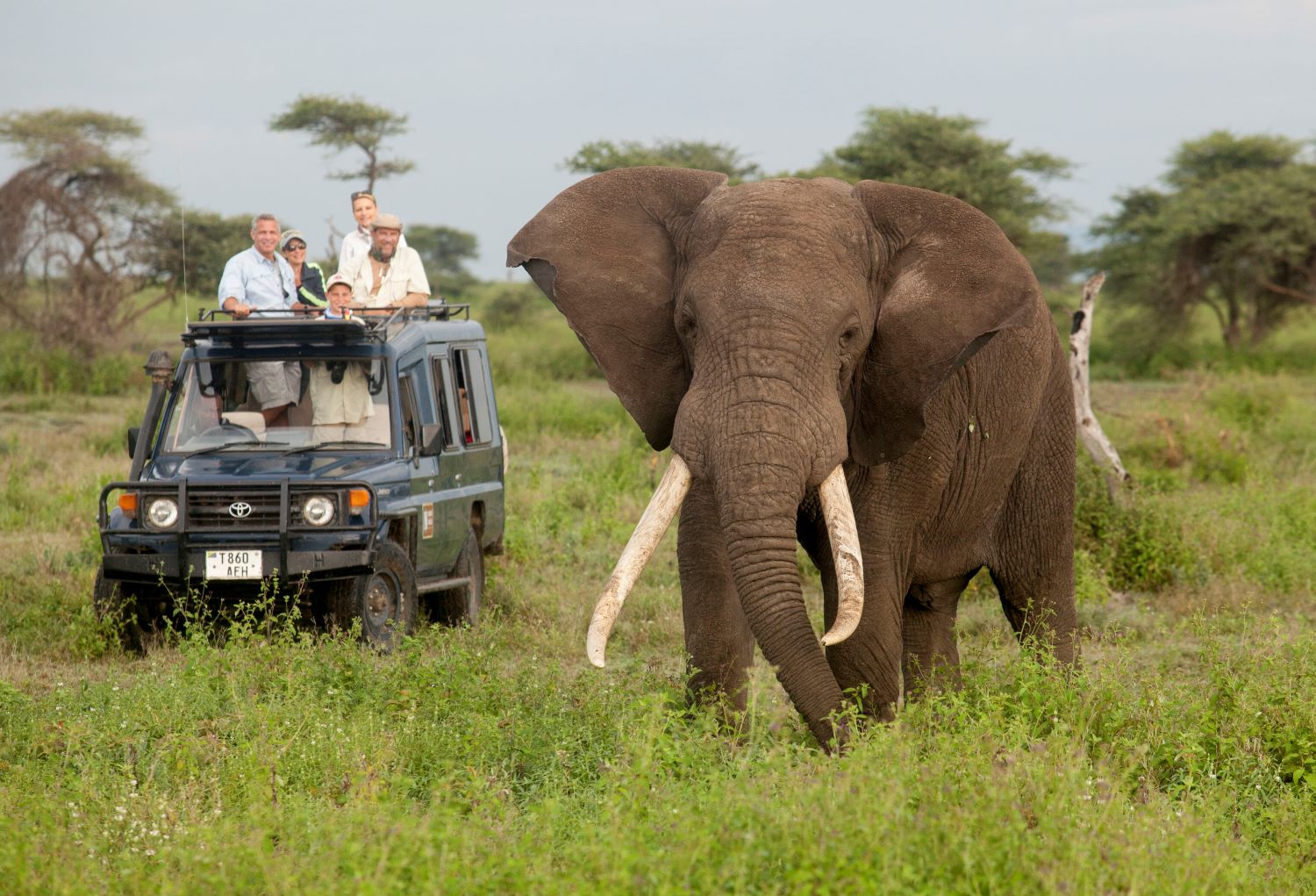 best time to book your safari in Tanzania