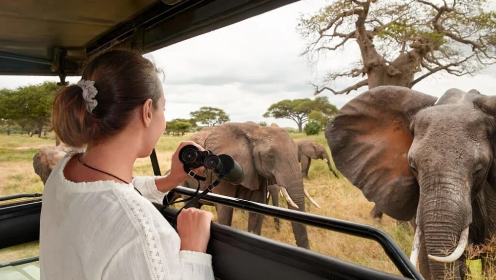 a tourist on a safari - Tanzania safari planning guide.