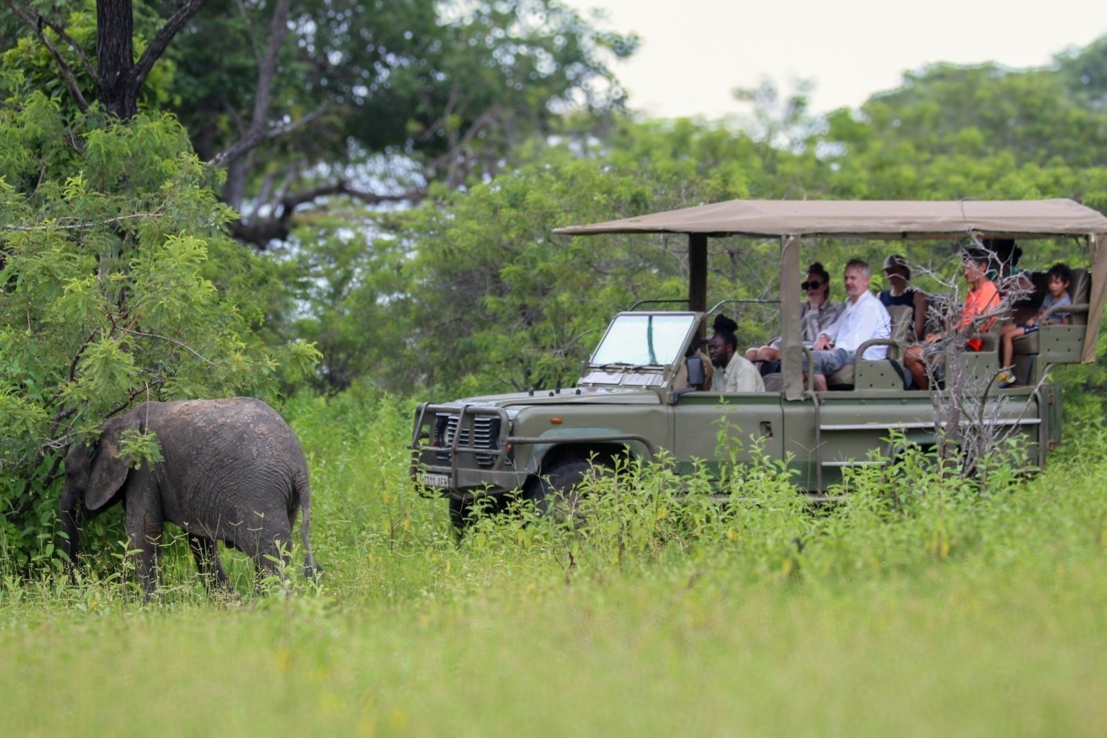 Game Drive in Nyerere National Park Nyerere National Park safari guide Tanzania