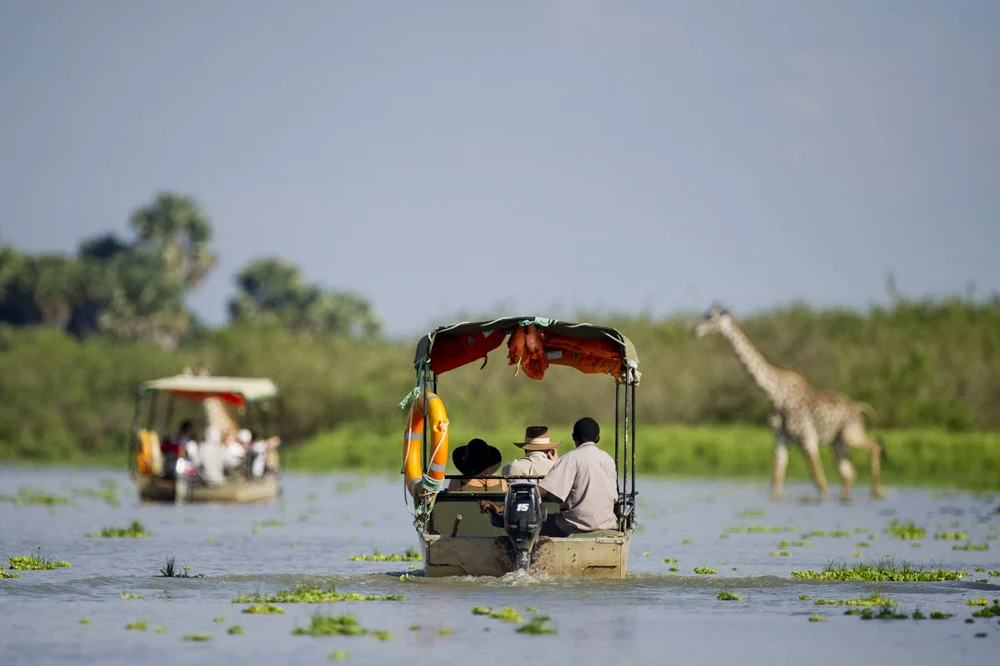 Nyerere National park - Boat safari - Twombili Tours