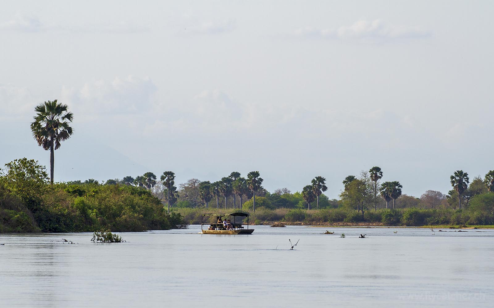 Rufiji river-Nyerere national park - Twombili Tours